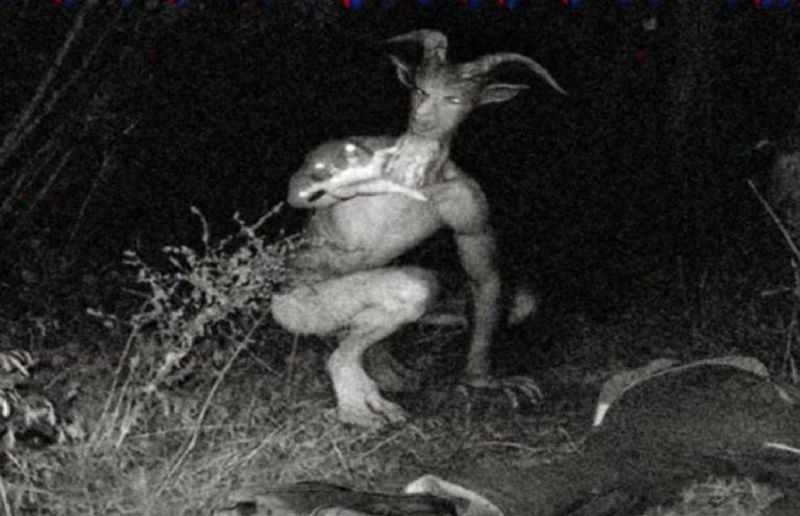 The Goatman of Maryland