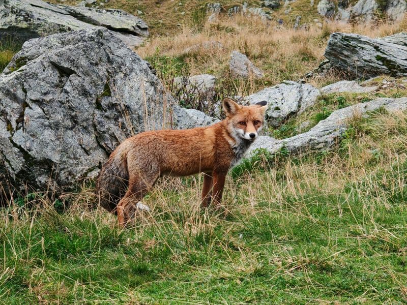 A Call to Trust Your Intuition