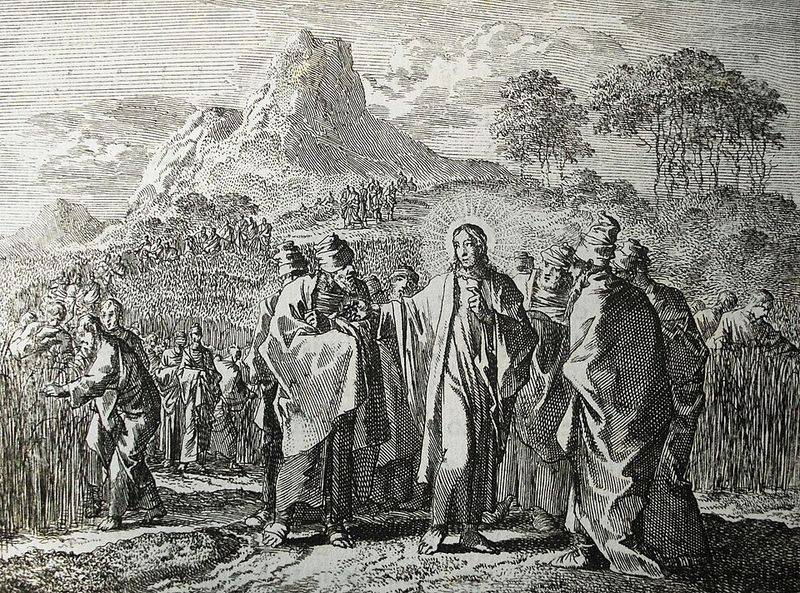 Allowing Disciples to Pick Grain on the Sabbath