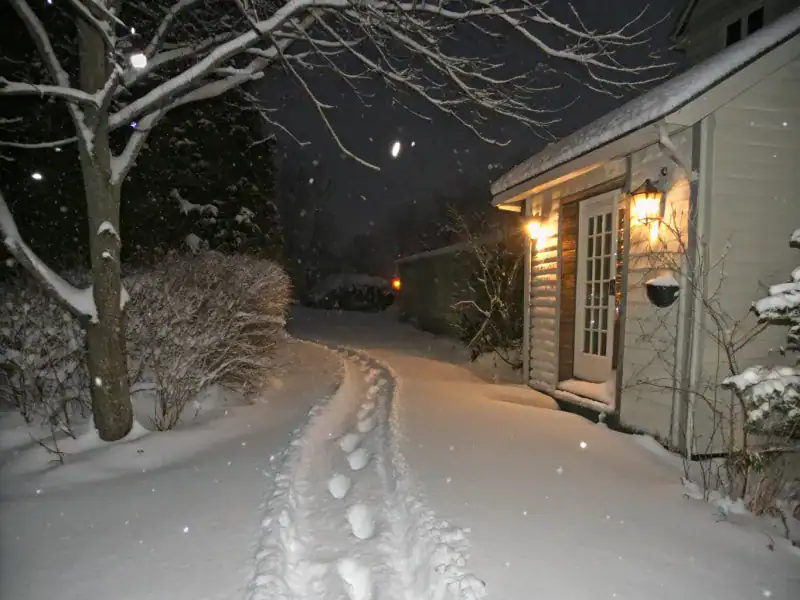 Footprints In Fresh Snow