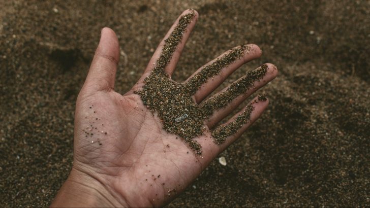 Soil & Spells: The Ultimate Guide for Earth Witches