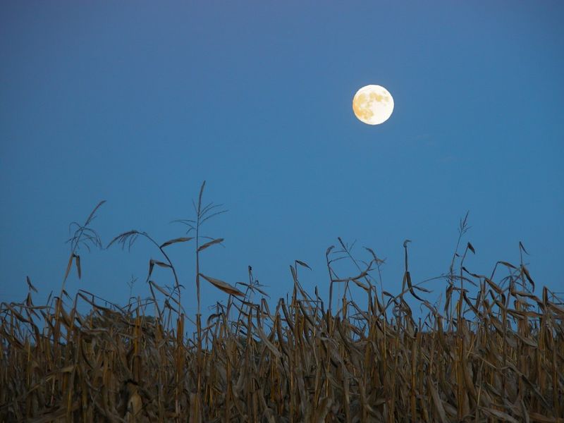September 26, 2026 — Corn Moon (12:49 PM EST)
