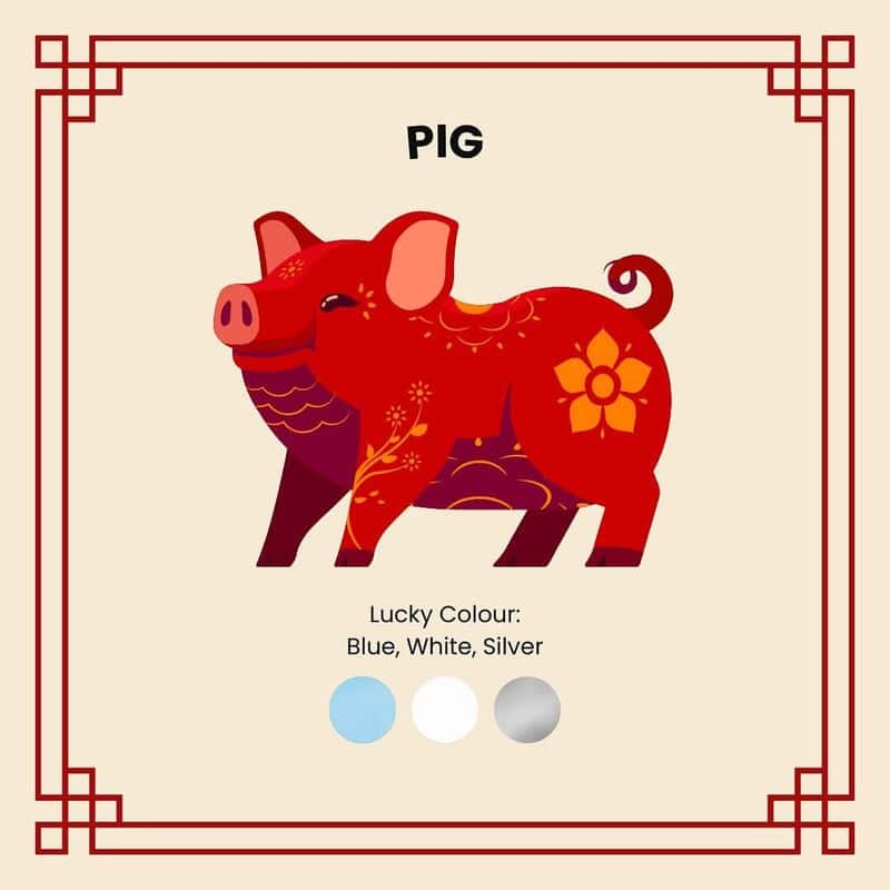 Pig