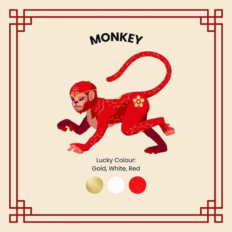 Monkey