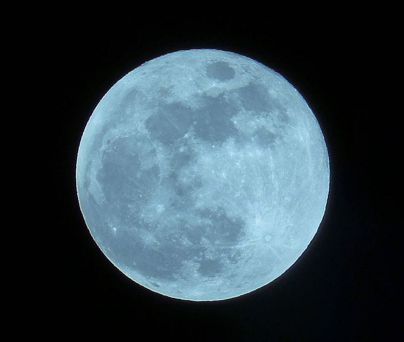 May 31, 2026 — Blue Moon (4:45 AM EST)