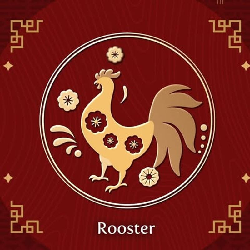 Rooster