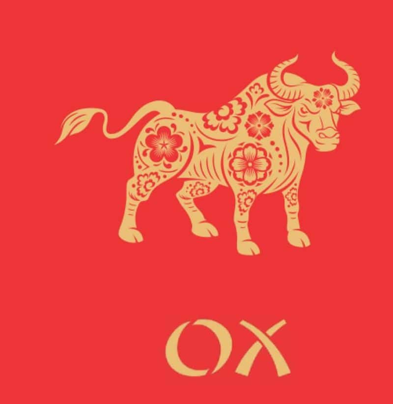 Ox
