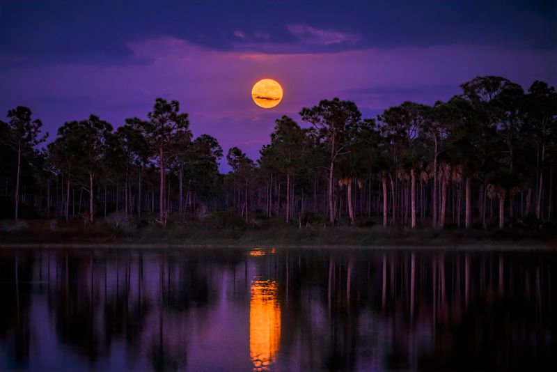 October 25, 2026 — Hunter’s Moon (11:12 PM EST)