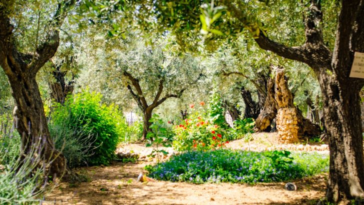 Following the Footsteps of Jesus: Biblical Sites You Can Still Visit