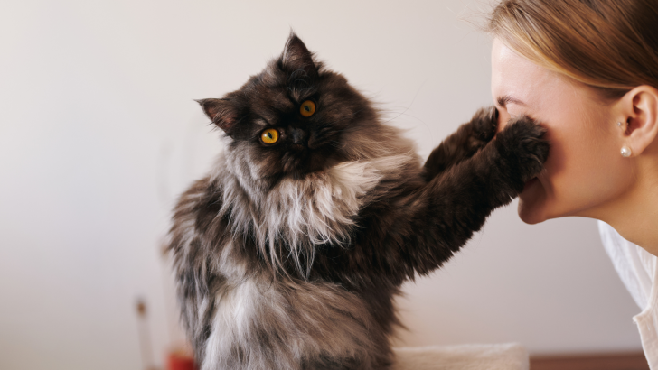 10 Signs You Have a Deep Spiritual Bond With Your Cat