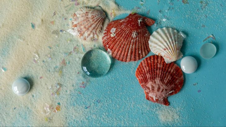 10 Summer Omens and What They Mean for You