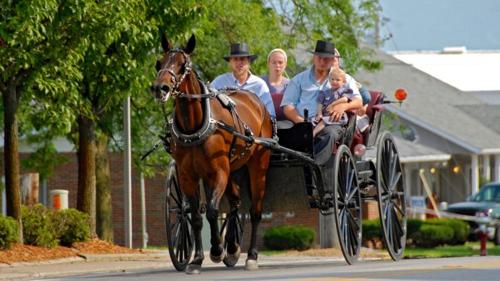 Rules the Amish Have to Follow