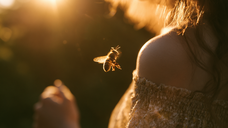 What It Means When Bees Constantly Notice You?